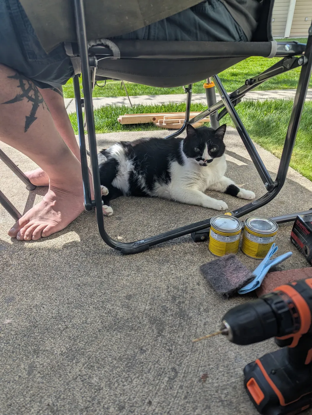 Rorschach stretched out on the patio concrete under a camp chair, next to a cordless drill and two tins