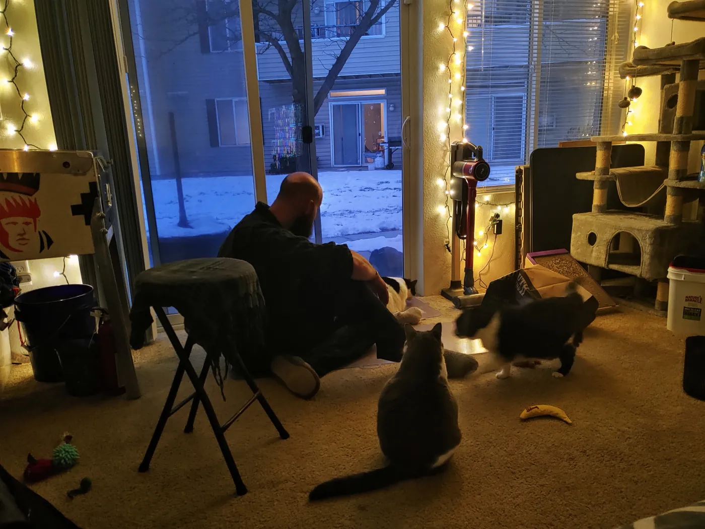 A cozy living room in winter, fairy lights strung around a snowy window, Tyler in a chair and two cats on the floor nearby